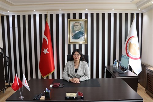 Kaymakamımız Sayın Kezban YERLİKAYA AKPINAR İlçemizdeki Görevine Başladı.